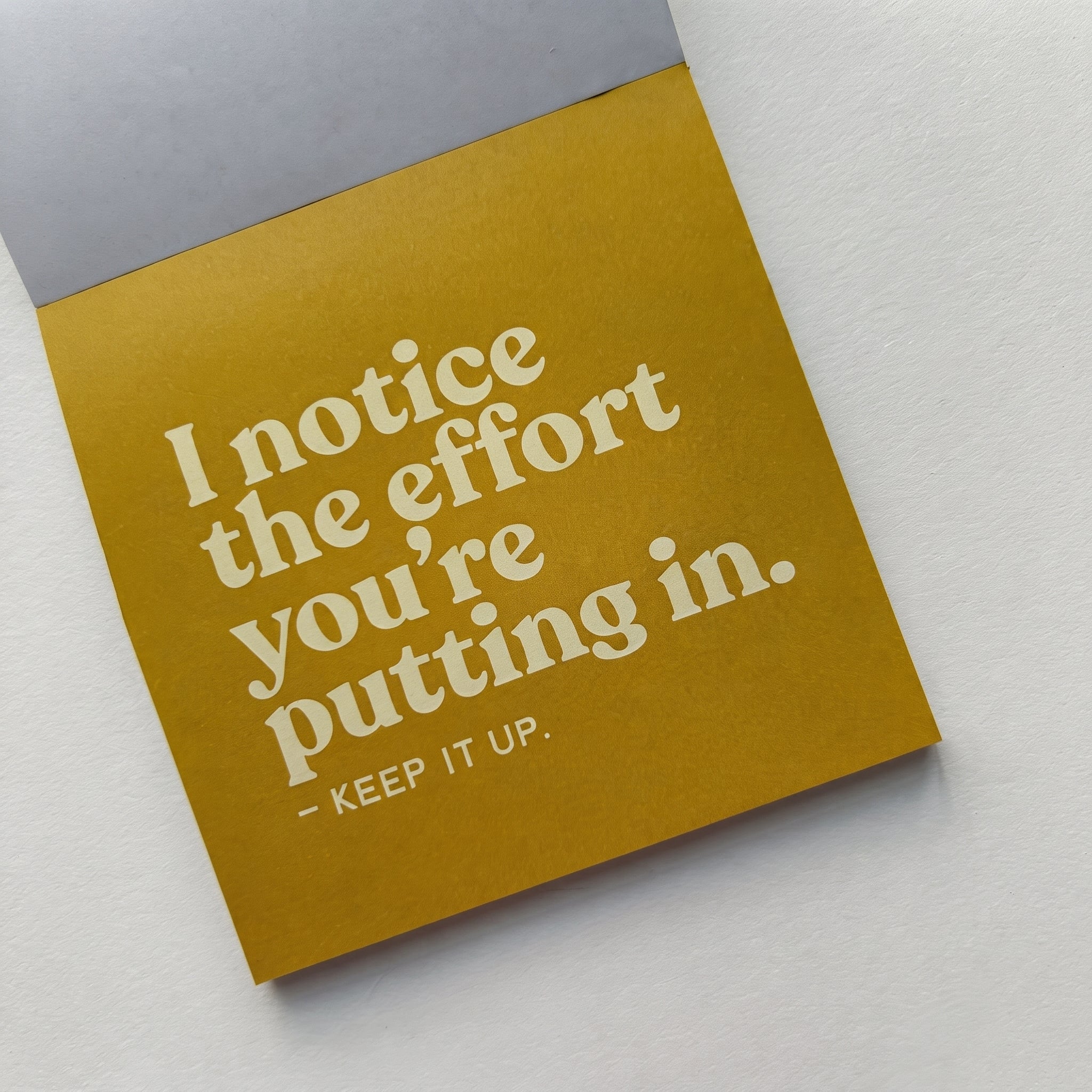 Lunch Box Notes